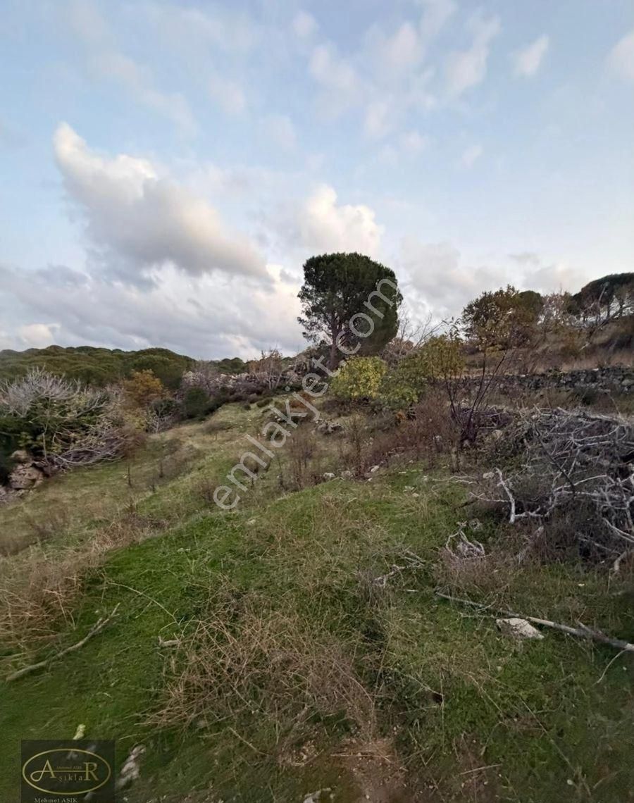 Balıkesir Burhaniye Kuyumcu Köyü Satılık Hobi Bahçesi - Görsel 21