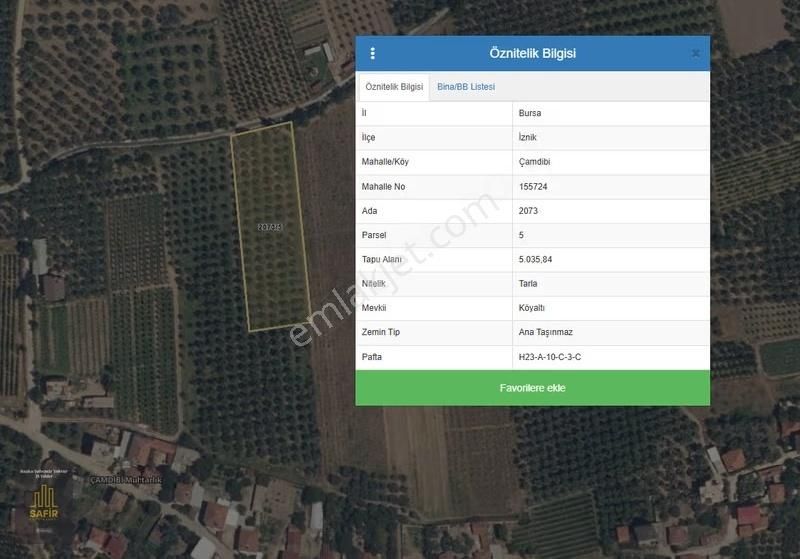 Safir'den İznik Gölüne Yakın Çamdibi Köyünde Satılık Zeytinlik - Görsel 2