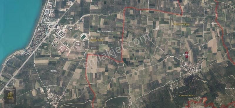 Safir'den İznik Gölüne Yakın Çamdibi Köyünde Satılık Zeytinlik