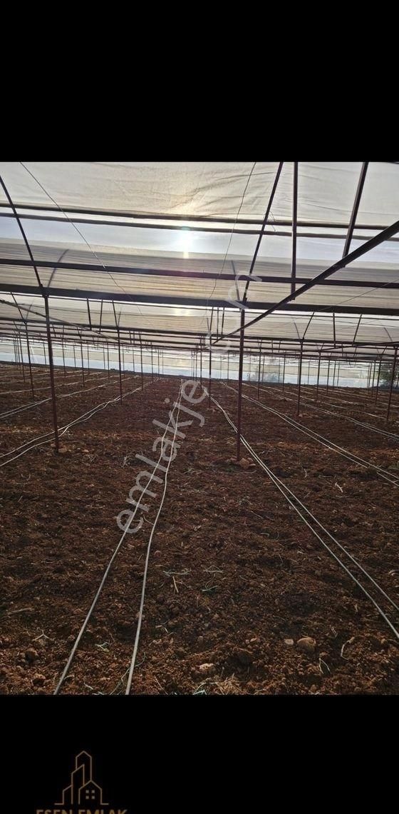 Antalya Elmalı Küçüksöğle Mah'de Elektriği, Sondajı Ve Yolu Bulunan 24.000m2 Kiralık Kapalı Sera - Görsel 7