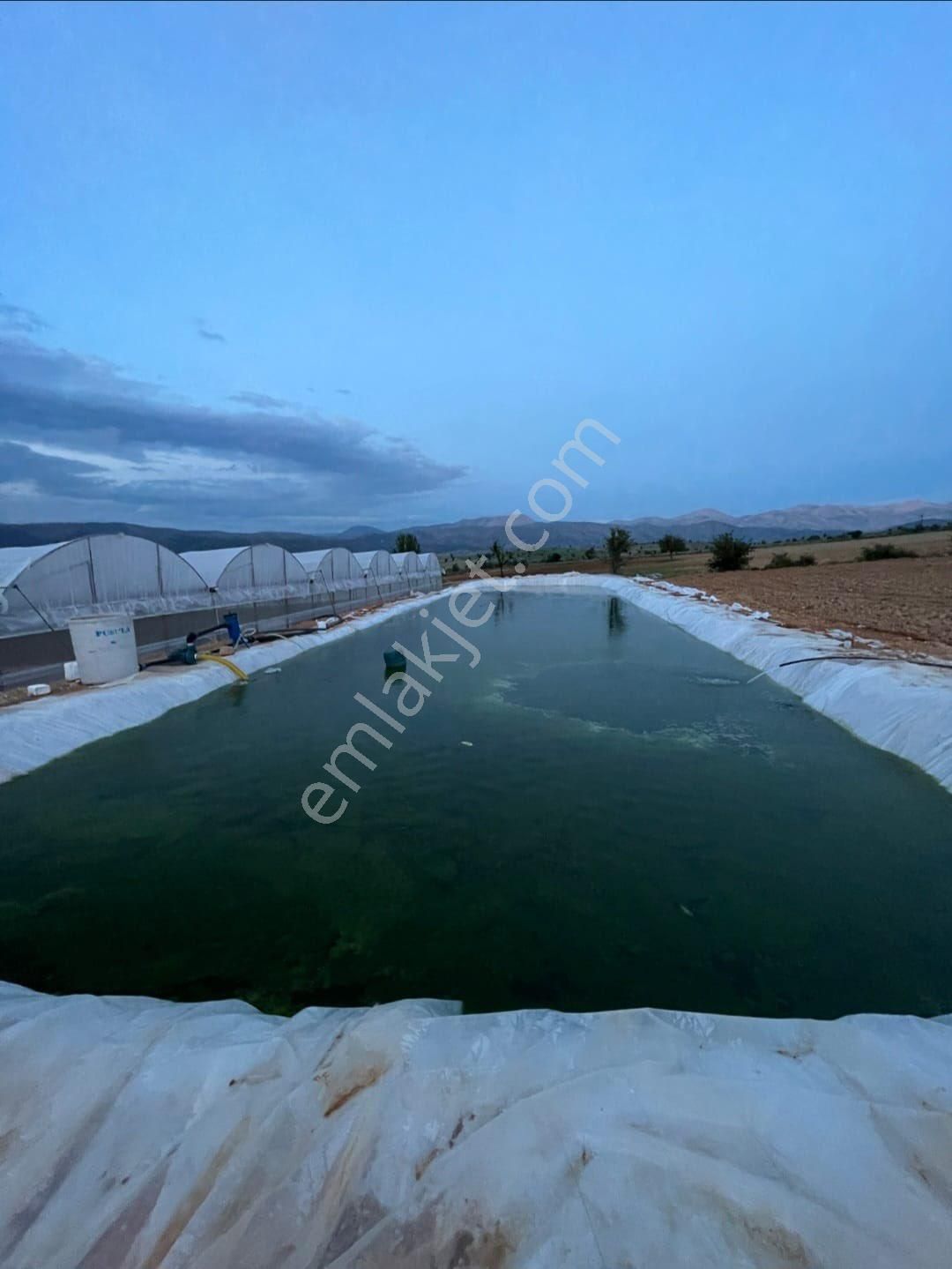 Antalya Elmalı Küçüksöğle Mah'de Elektriği, Sondajı Ve Yolu Bulunan 24.000m2 Kiralık Kapalı Sera - Görsel 15