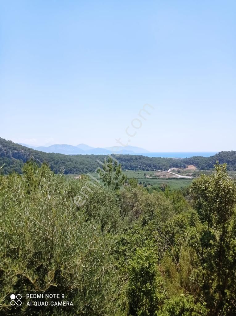 Stop’tan Ortaca Sarıgerme’de *full Deniz Manzaralı* Arsa - Görsel 2