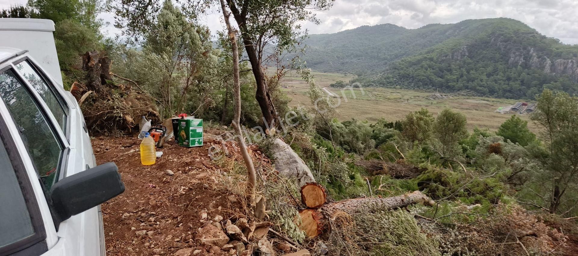 Stop’tan Ortaca Sarıgerme’de *full Deniz Manzaralı* Arsa - Görsel 12