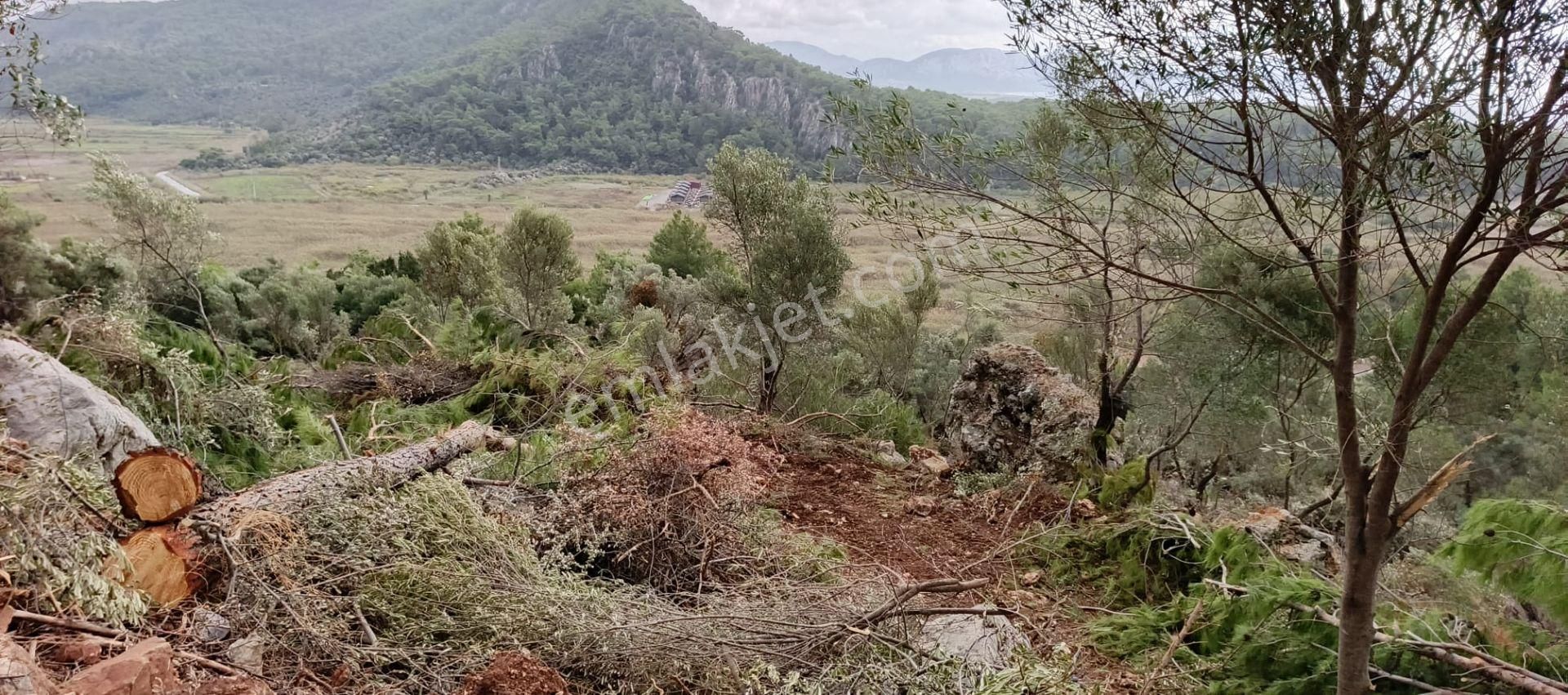 Stop’tan Ortaca Sarıgerme’de *full Deniz Manzaralı* Arsa - Görsel 9