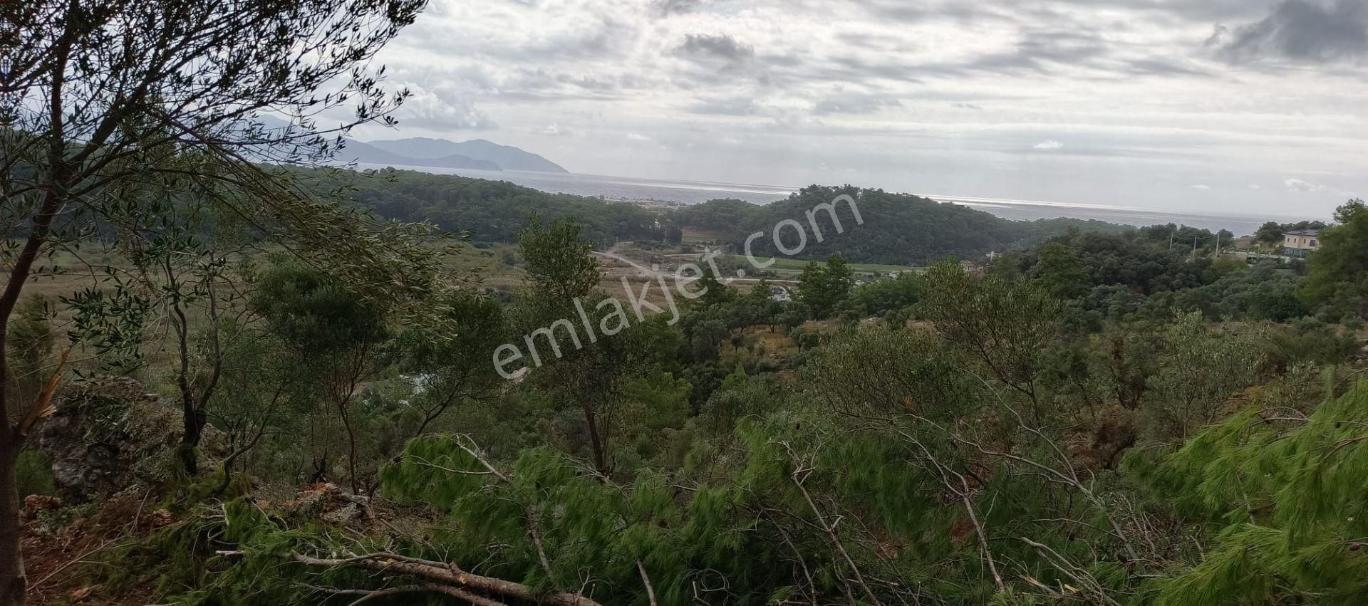 Stop’tan Ortaca Sarıgerme’de *full Deniz Manzaralı* Arsa - Görsel 5