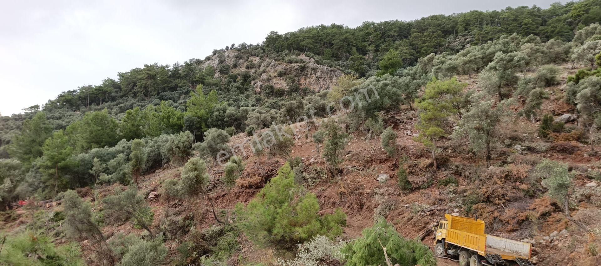 Stop’tan Ortaca Sarıgerme’de *full Deniz Manzaralı* Arsa - Görsel 10