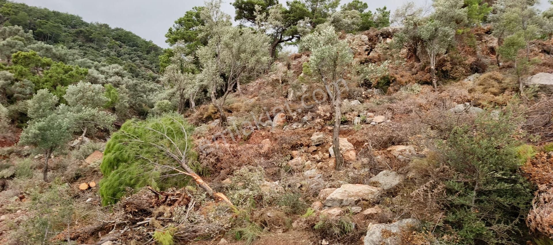 Stop’tan Ortaca Sarıgerme’de *full Deniz Manzaralı* Arsa - Görsel 7