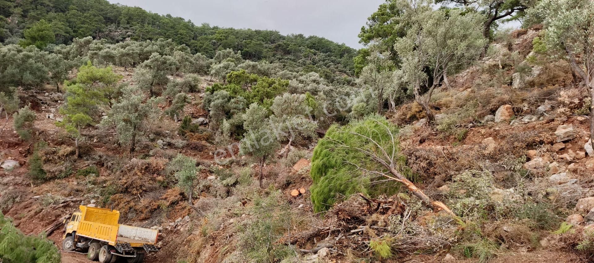 Stop’tan Ortaca Sarıgerme’de *full Deniz Manzaralı* Arsa - Görsel 8