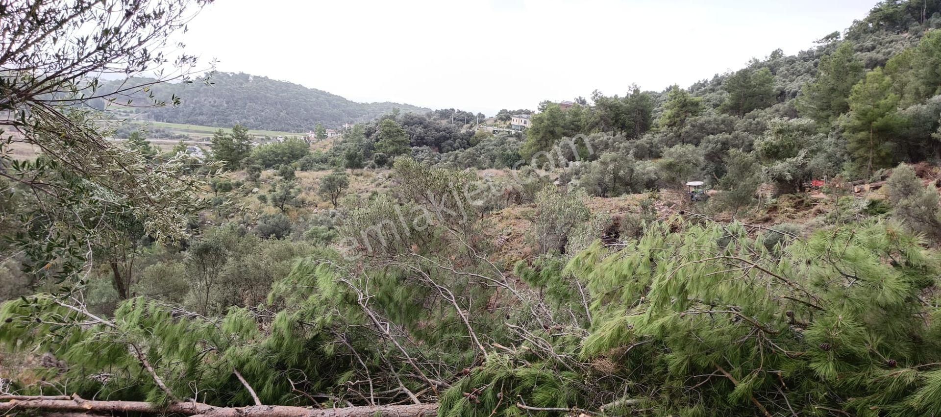 Stop’tan Ortaca Sarıgerme’de *full Deniz Manzaralı* Arsa - Görsel 14