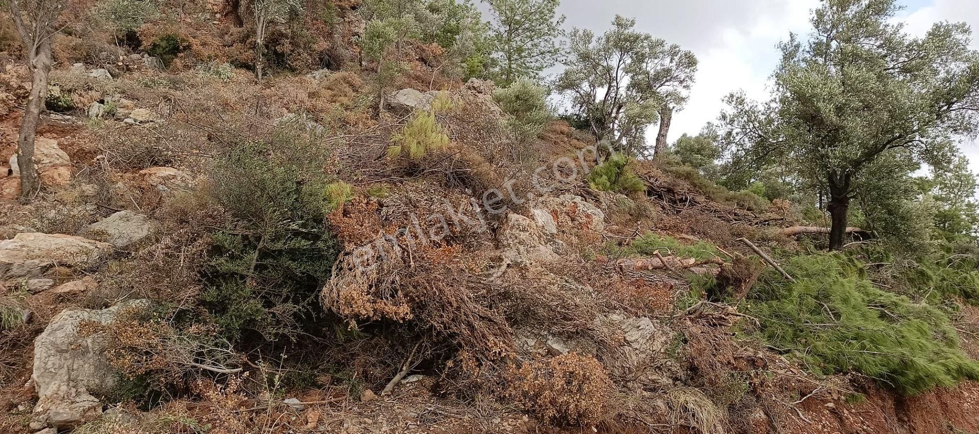 Stop’tan Ortaca Sarıgerme’de *full Deniz Manzaralı* Arsa - Görsel 11