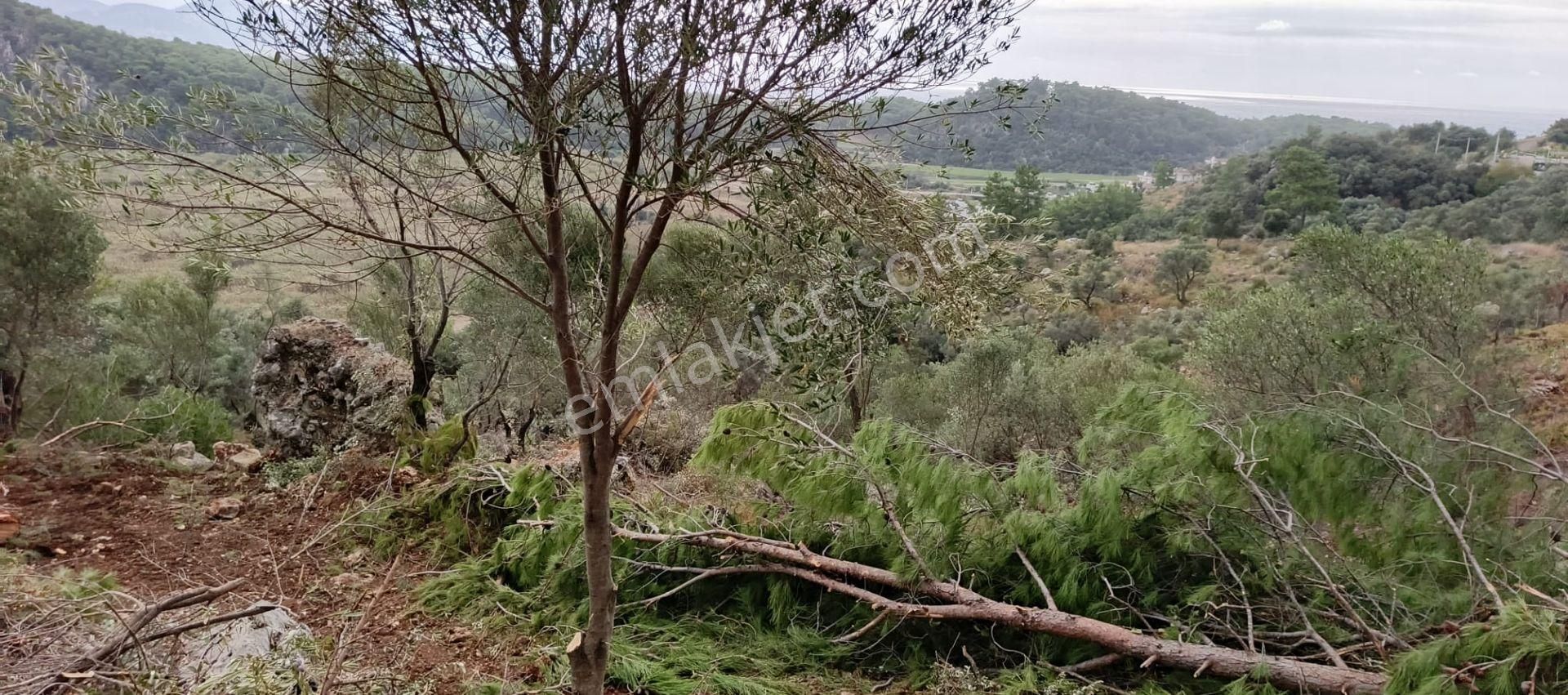 Stop’tan Ortaca Sarıgerme’de *full Deniz Manzaralı* Arsa - Görsel 13
