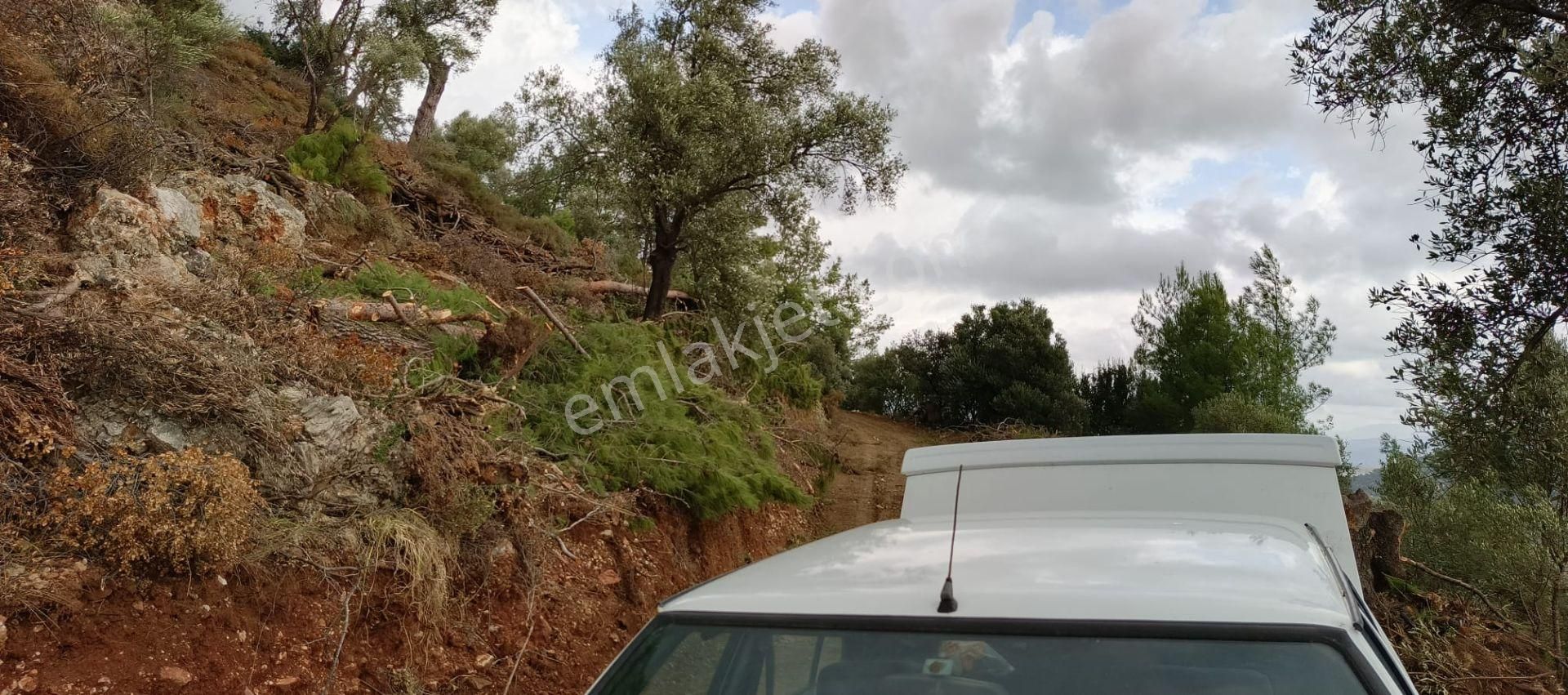 Stop’tan Ortaca Sarıgerme’de *full Deniz Manzaralı* Arsa - Görsel 15