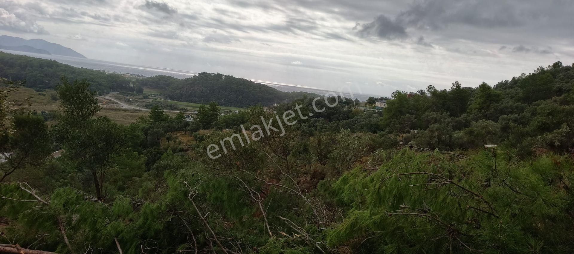 Stop’tan Ortaca Sarıgerme’de *full Deniz Manzaralı* Arsa - Görsel 4