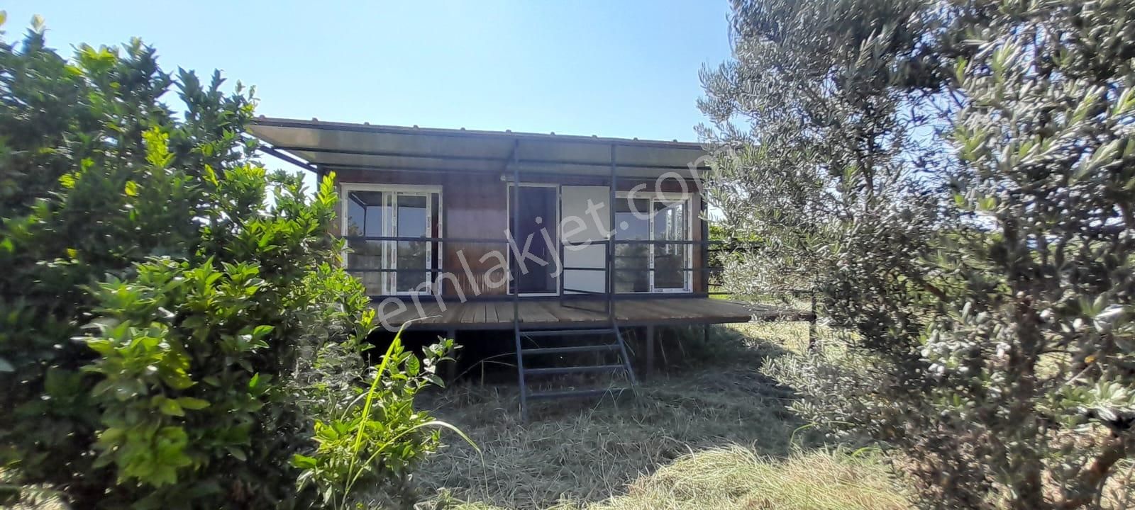 Stop’tan Ortaca Fevziye’de Satılık *830 M2 Tarla + Konteynır* - Görsel 2