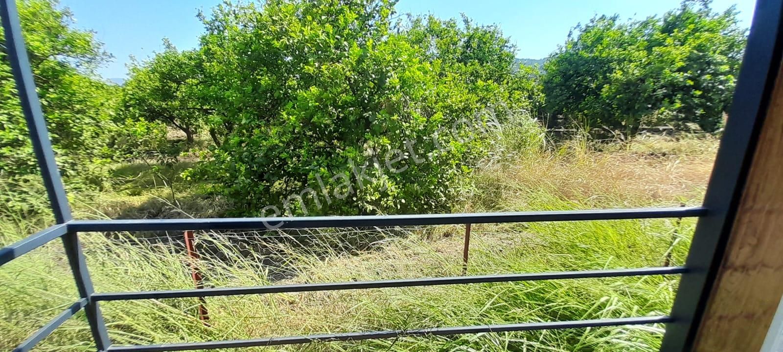 Stop’tan Ortaca Fevziye’de Satılık *830 M2 Tarla + Konteynır* - Görsel 10