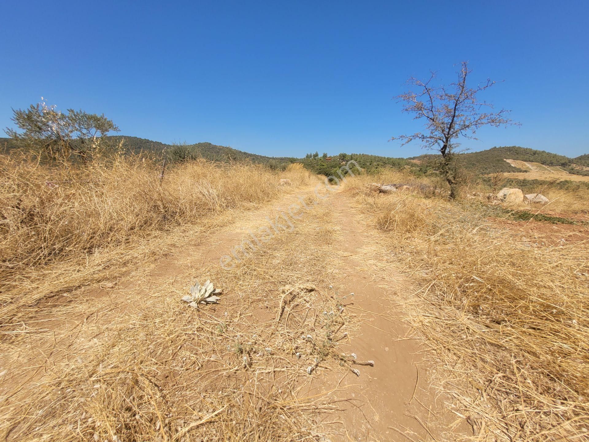 İzmir Torbalı Satılık Tarla - Görsel 14