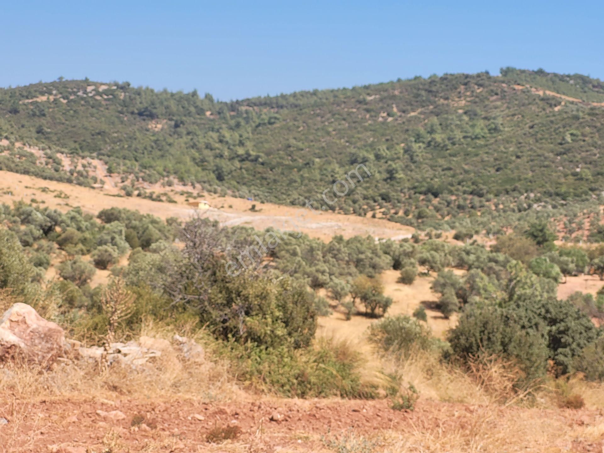 İzmir Torbalı Satılık Tarla - Görsel 18