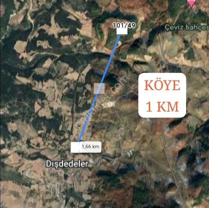 Sakarya Taraklı Dışdedeler Köyünde 3.179m² Tarlamız Satılıktır - Görsel 5