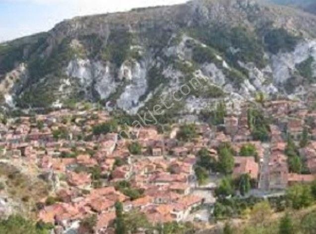 Sakarya Taraklı Dışdedeler Köyünde 3.179m² Tarlamız Satılıktır - Görsel 9