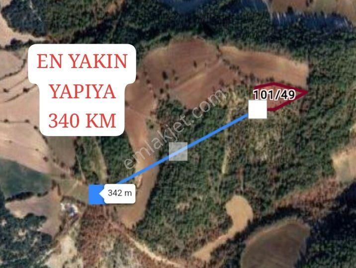 Sakarya Taraklı Dışdedeler Köyünde 3.179m² Tarlamız Satılıktır - Görsel 3