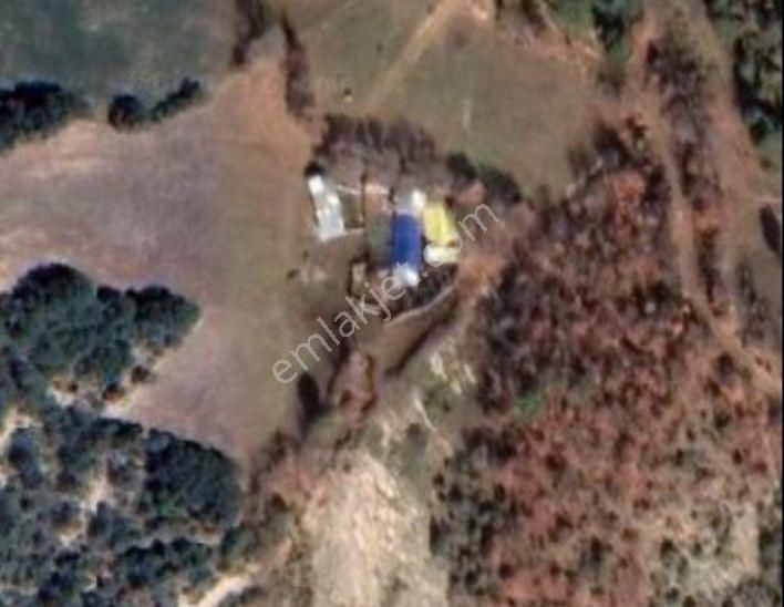 Sakarya Taraklı Dışdedeler Köyünde 3.179m² Tarlamız Satılıktır - Görsel 4