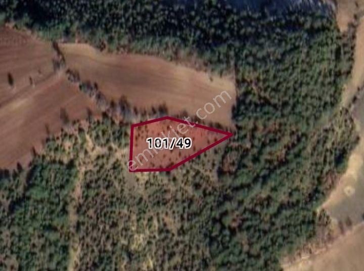 Sakarya Taraklı Dışdedeler Köyünde 3.179m² Tarlamız Satılıktır