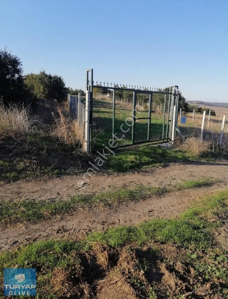 Silivri Büyükkılıçlı Acil Satılık Tarla