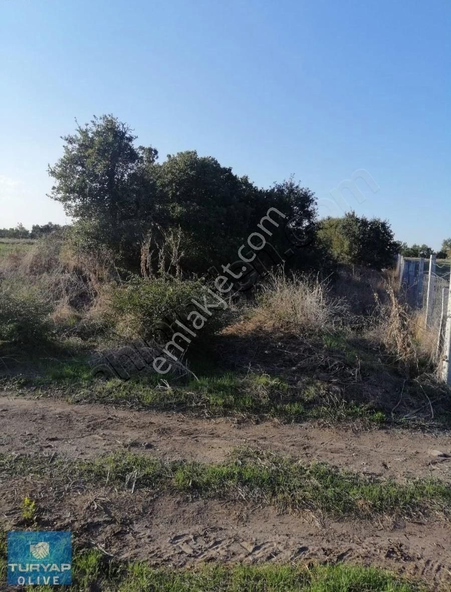 Silivri Büyükkılıçlı Acil Satılık Tarla - Görsel 5