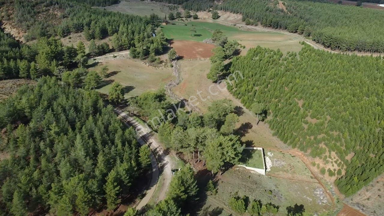 Uğur'dan S.kemer Çobanlar Doğayla İç İçe 1152m2 Satılık Tarla - Görsel 4