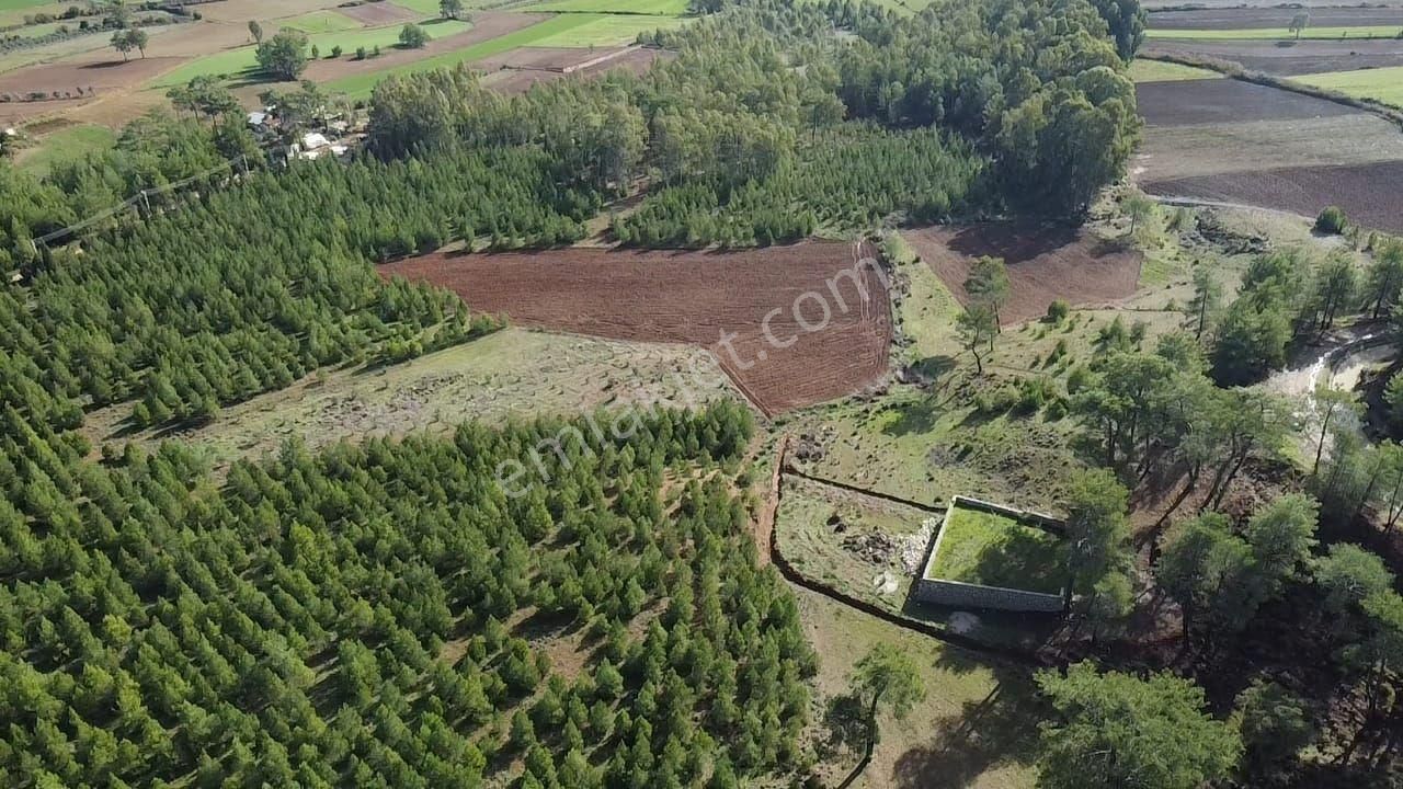 Uğur'dan S.kemer Çobanlar Doğayla İç İçe 1152m2 Satılık Tarla - Görsel 6