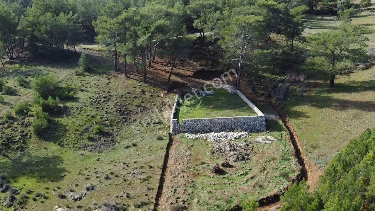 Uğur'dan S.kemer Çobanlar Doğayla İç İçe 1152m2 Satılık Tarla - Görsel 3