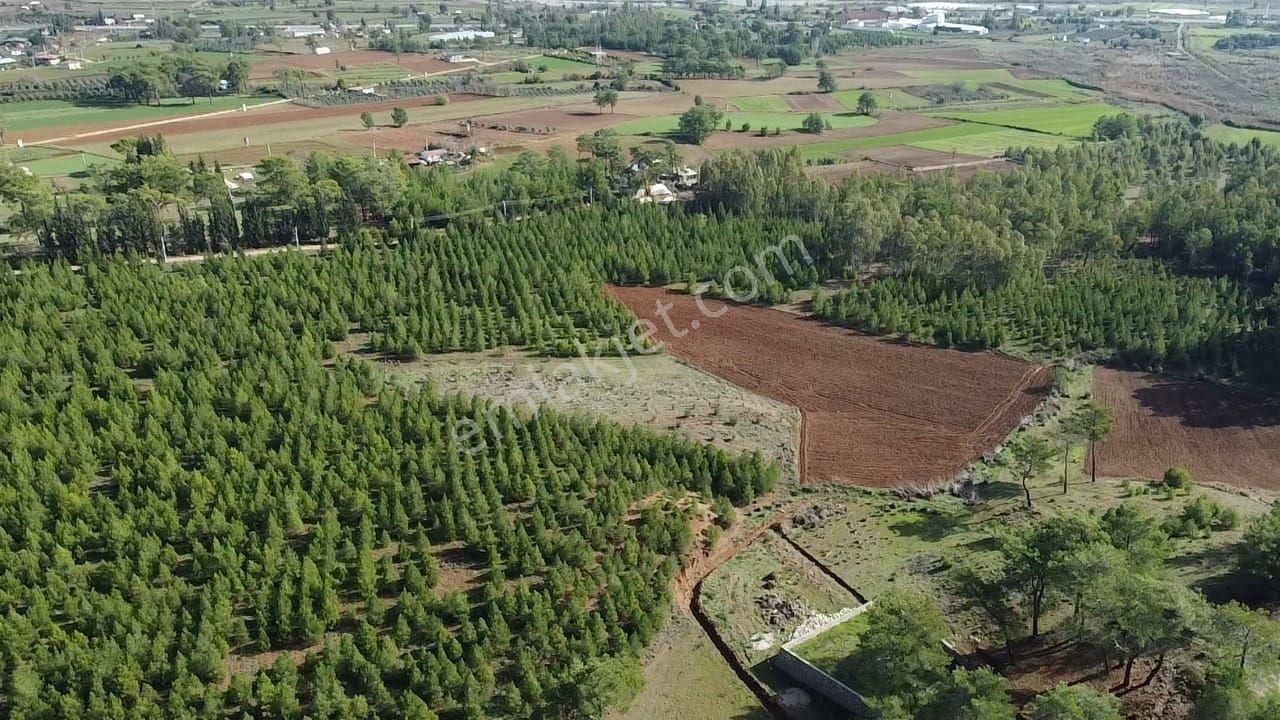 Uğur'dan S.kemer Çobanlar Doğayla İç İçe 1152m2 Satılık Tarla - Görsel 18