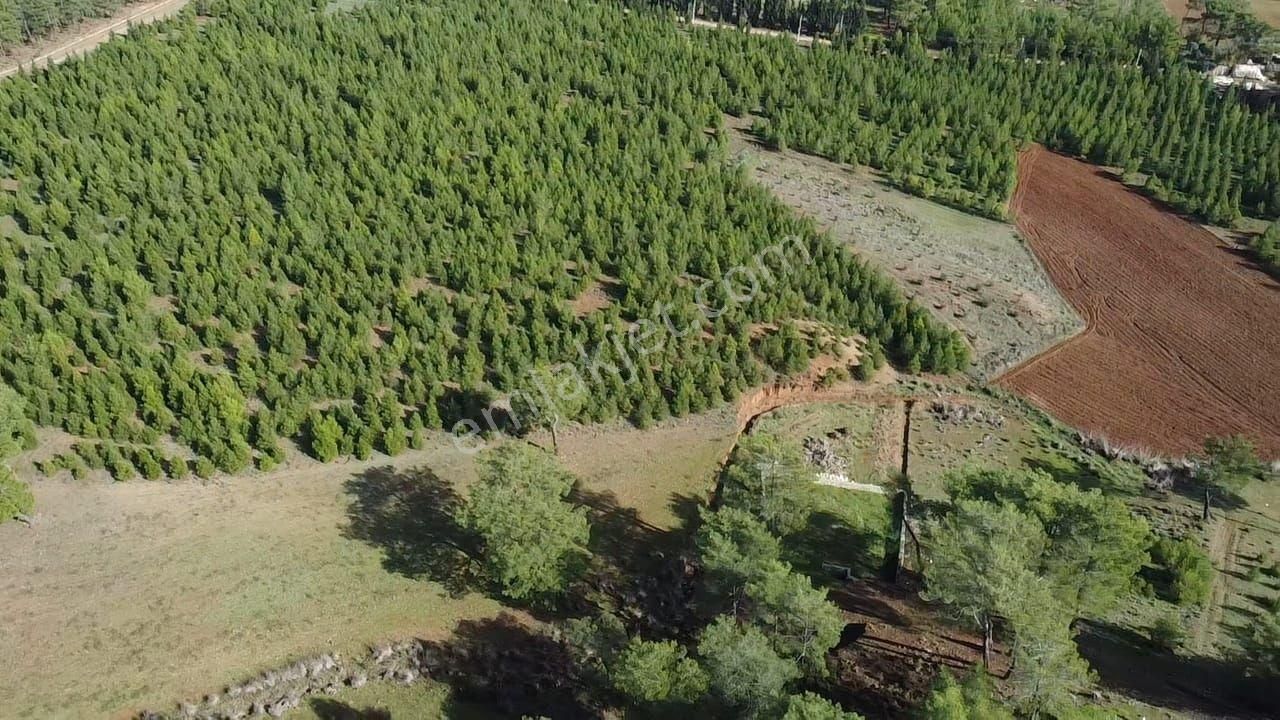 Uğur'dan S.kemer Çobanlar Doğayla İç İçe 1152m2 Satılık Tarla - Görsel 21