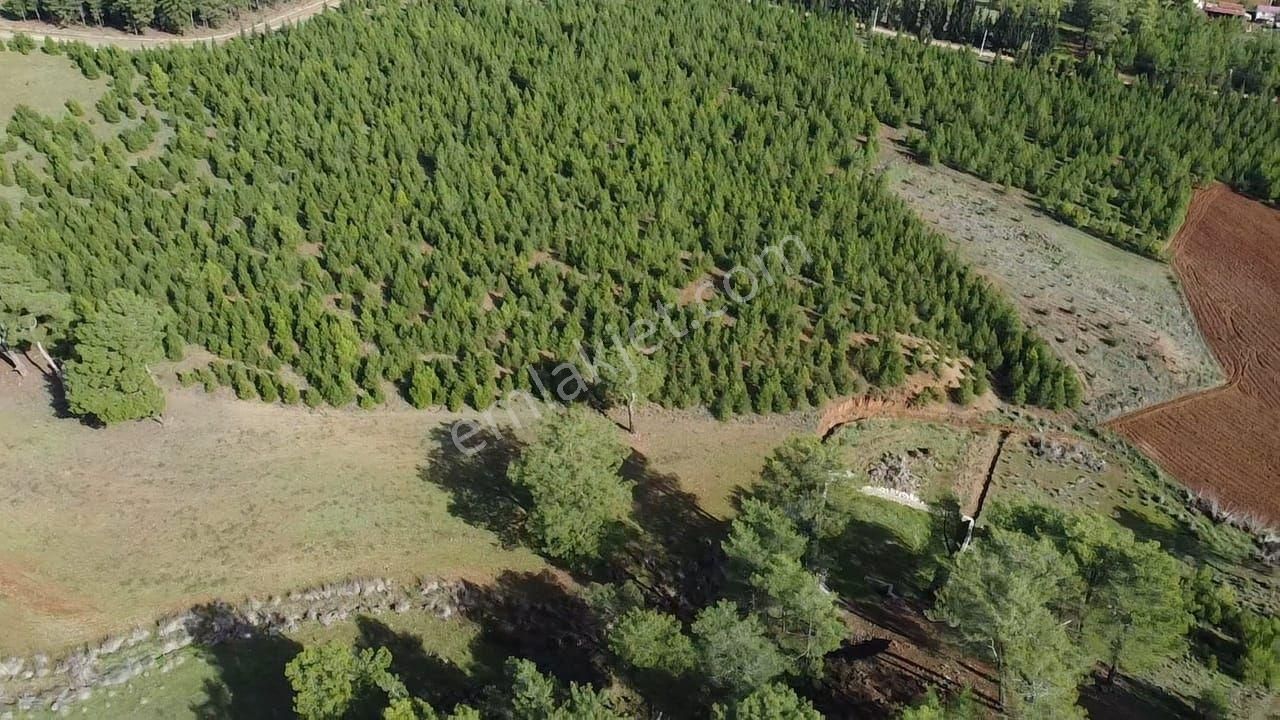 Uğur'dan S.kemer Çobanlar Doğayla İç İçe 1152m2 Satılık Tarla - Görsel 17