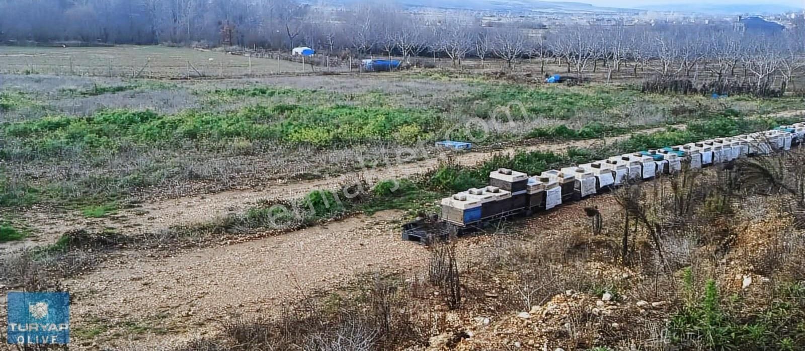 Kırklareli Vize Sergen Köyünde Ruhsatlı Satılık Besi Çiftliği - Görsel 10