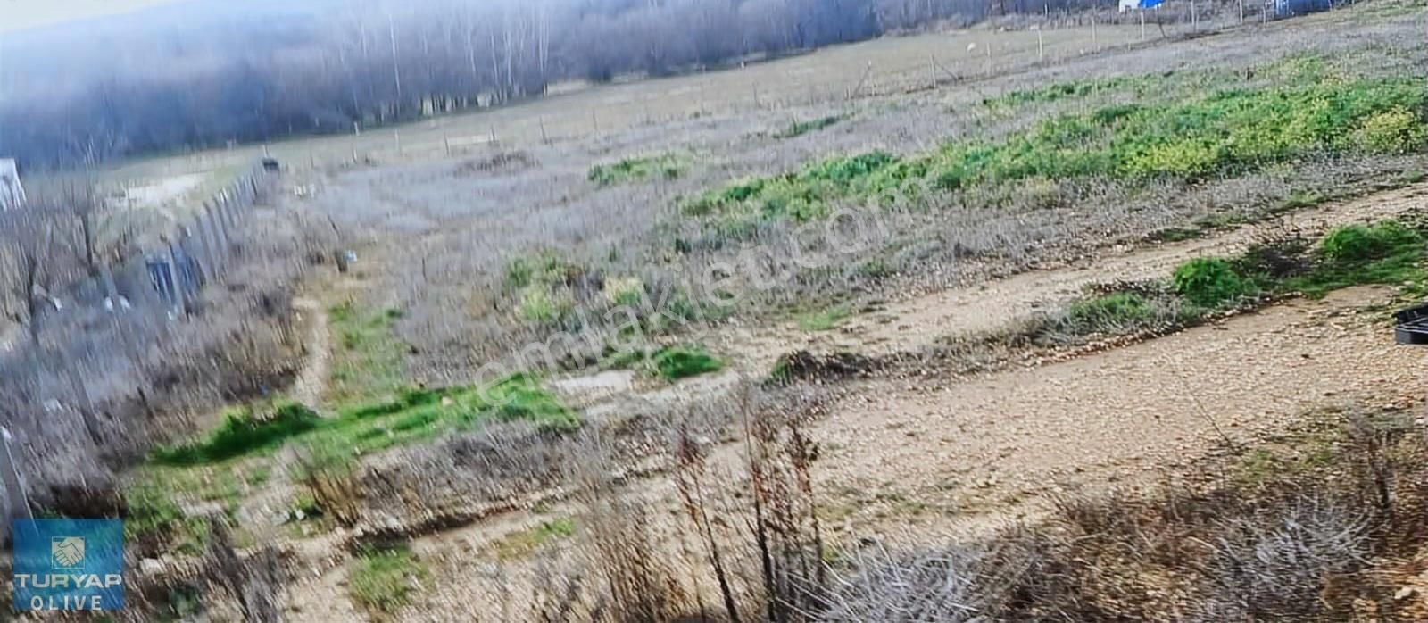 Kırklareli Vize Sergen Köyünde Ruhsatlı Satılık Besi Çiftliği - Görsel 24