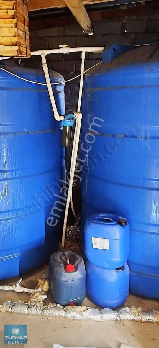 Kırklareli Vize Sergen Köyünde Ruhsatlı Satılık Besi Çiftliği - Görsel 21