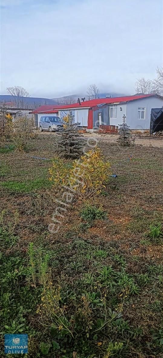 Kırklareli Vize Sergen Köyünde Ruhsatlı Satılık Besi Çiftliği - Görsel 7