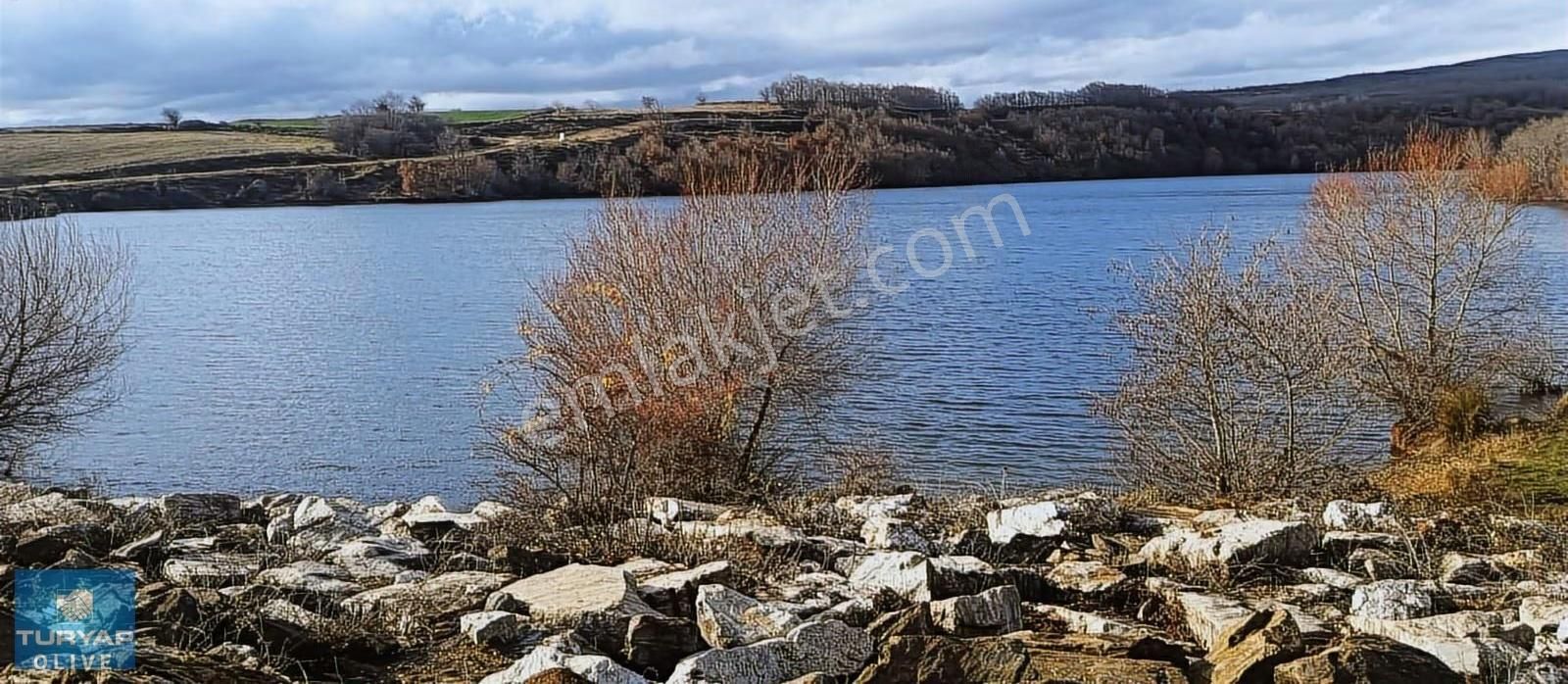 Kırklareli Vize Sergen Köyünde Ruhsatlı Satılık Besi Çiftliği - Görsel 5