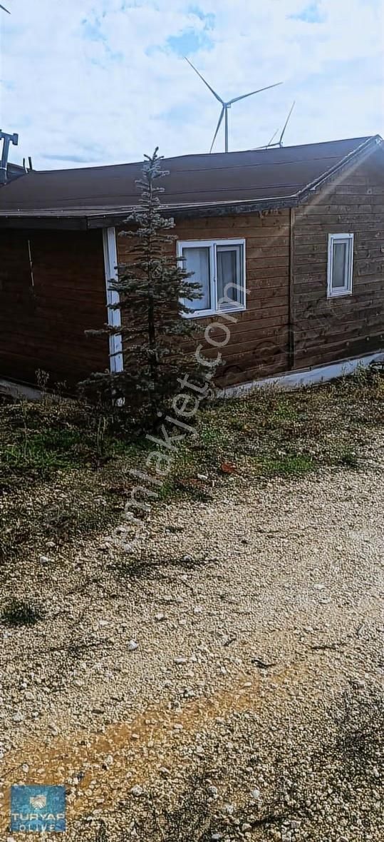 Kırklareli Vize Sergen Köyünde Ruhsatlı Satılık Besi Çiftliği - Görsel 15