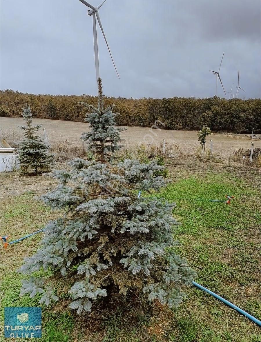 Kırklareli Vize Sergen Köyünde Ruhsatlı Satılık Besi Çiftliği - Görsel 3