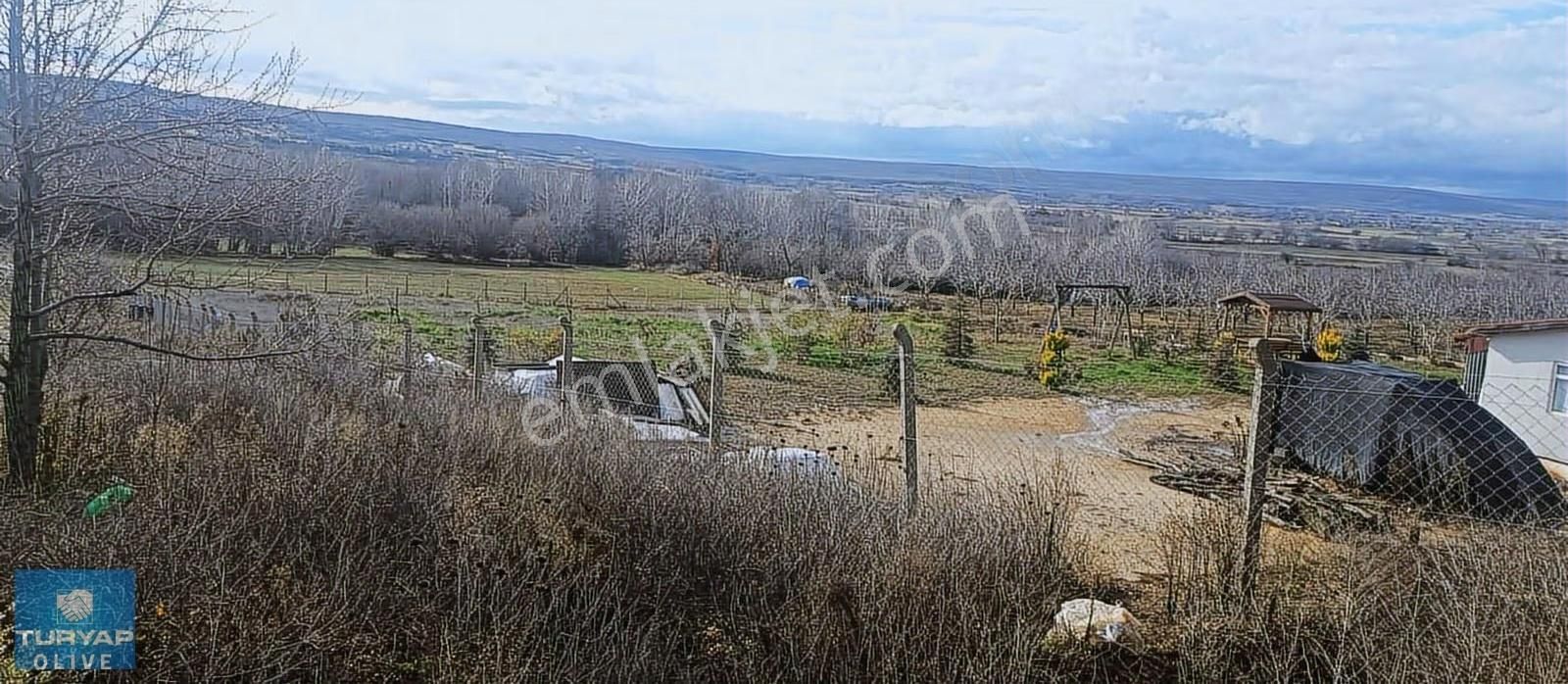 Kırklareli Vize Sergen Köyünde Ruhsatlı Satılık Besi Çiftliği - Görsel 6