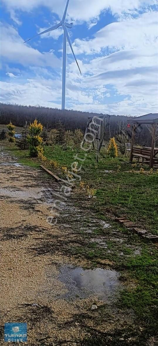 Kırklareli Vize Sergen Köyünde Ruhsatlı Satılık Besi Çiftliği - Görsel 13