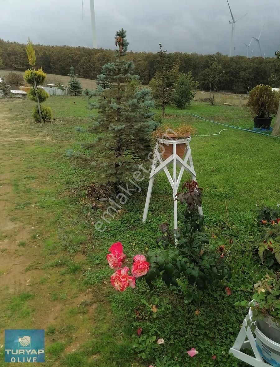 Kırklareli Vize Sergen Köyünde Ruhsatlı Satılık Besi Çiftliği - Görsel 22