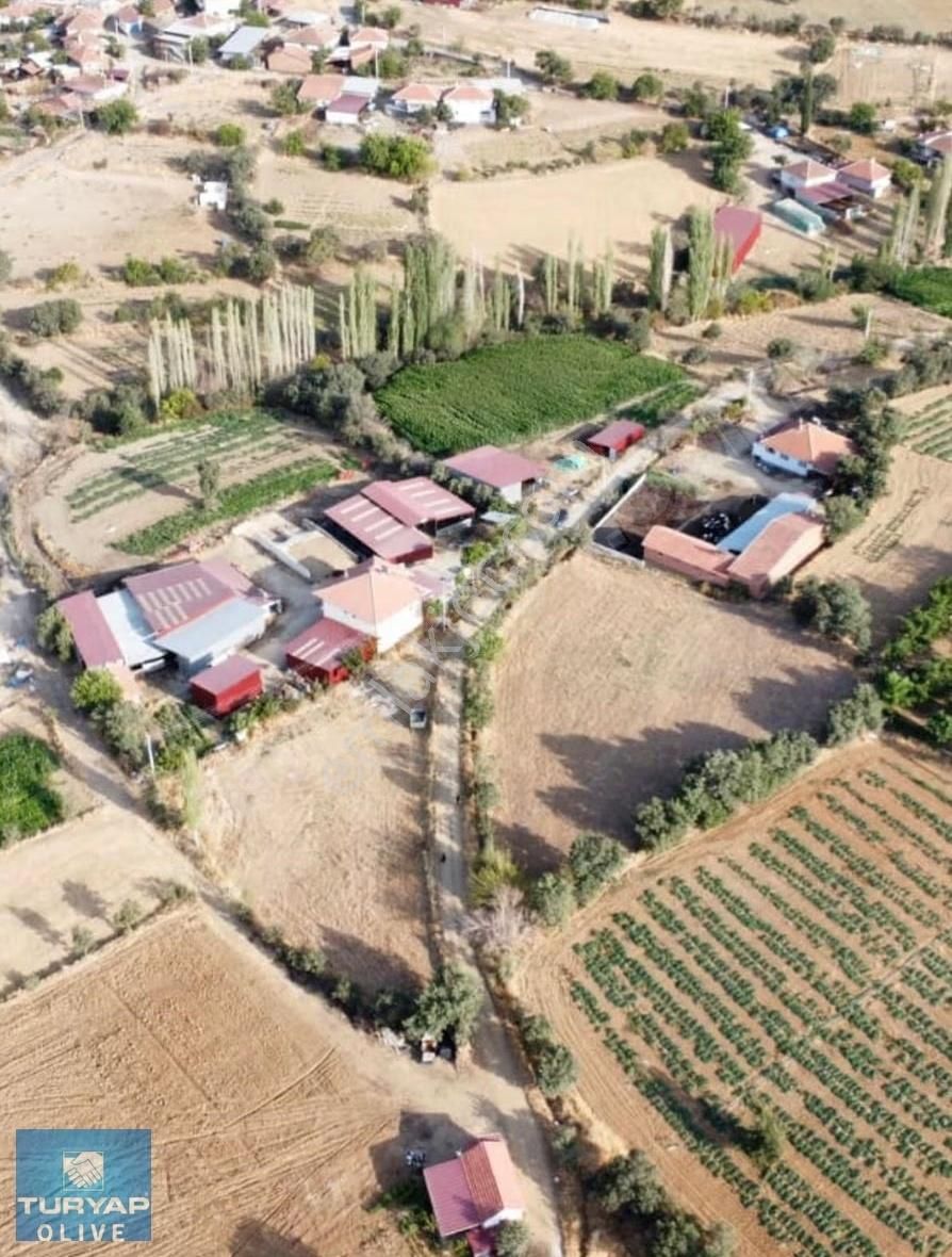 Uşak Eşme Dervişli Köyünde Satılık Arsa - Görsel 3