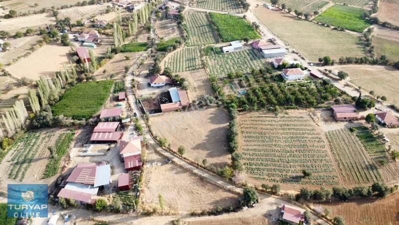 Uşak Eşme Dervişli Köyünde Satılık Arsa