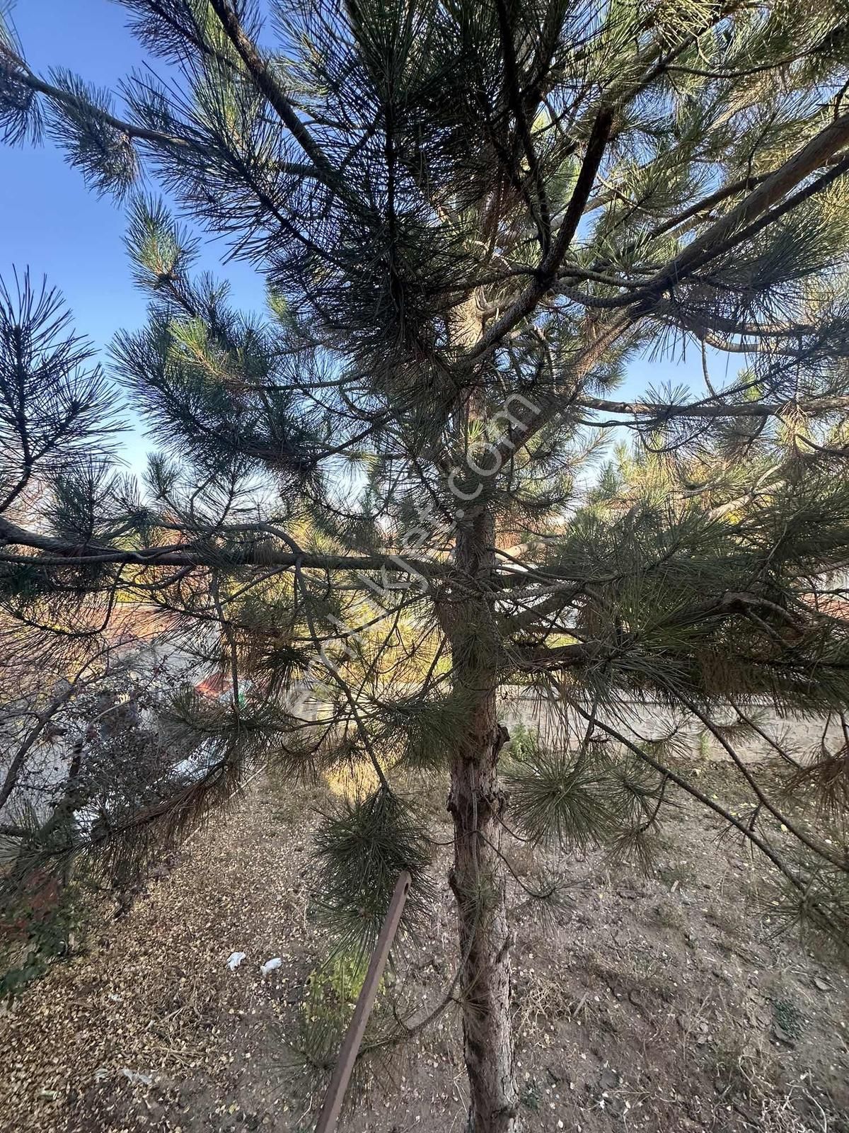 Battalgazide Satılık 2 Katlı Müstakil - Görsel 11