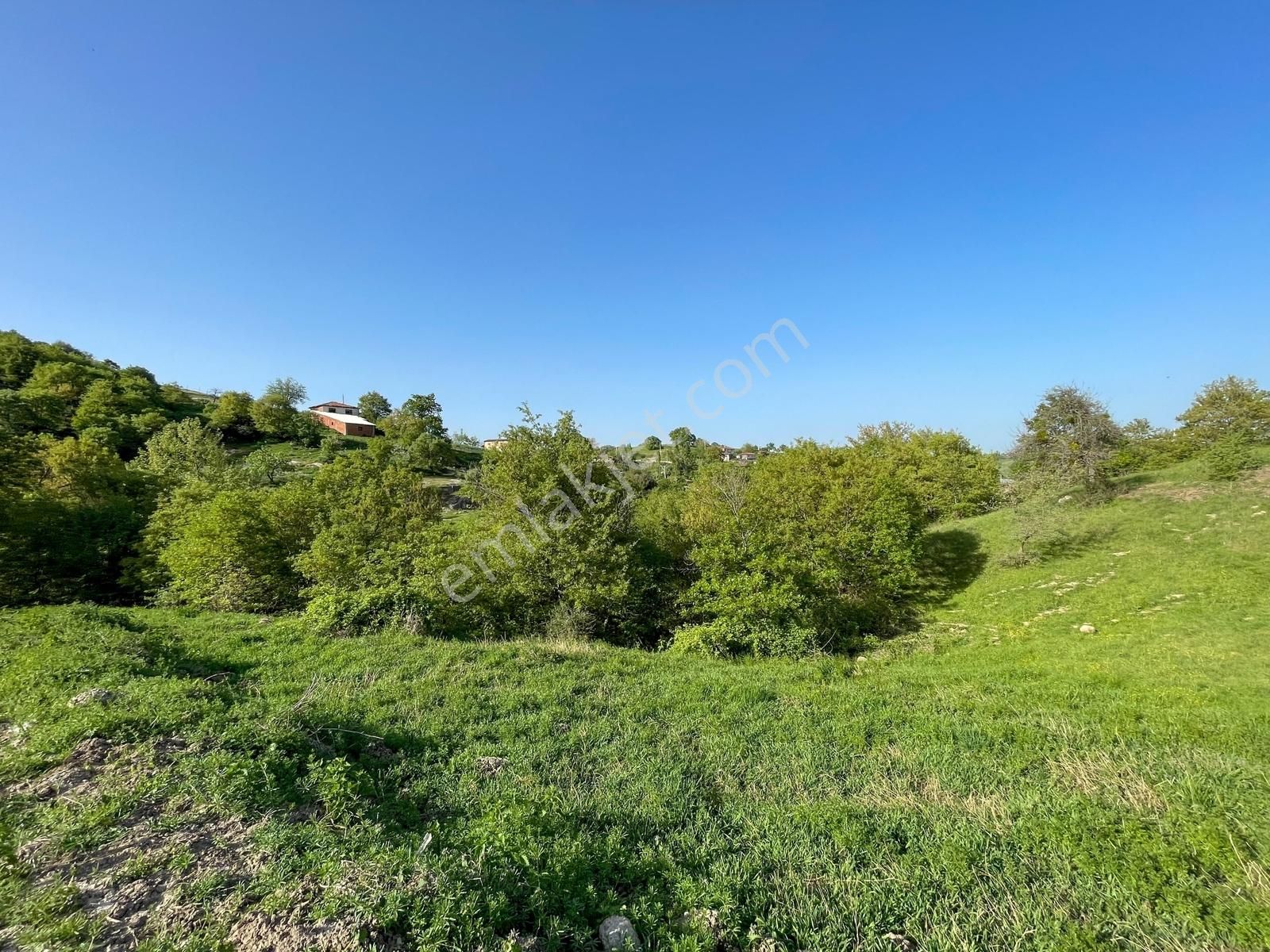 21 Villa Projesi Hazır ! Biga Sazoba'da Köyiçi 7.144 M² Arsa - Görsel 34