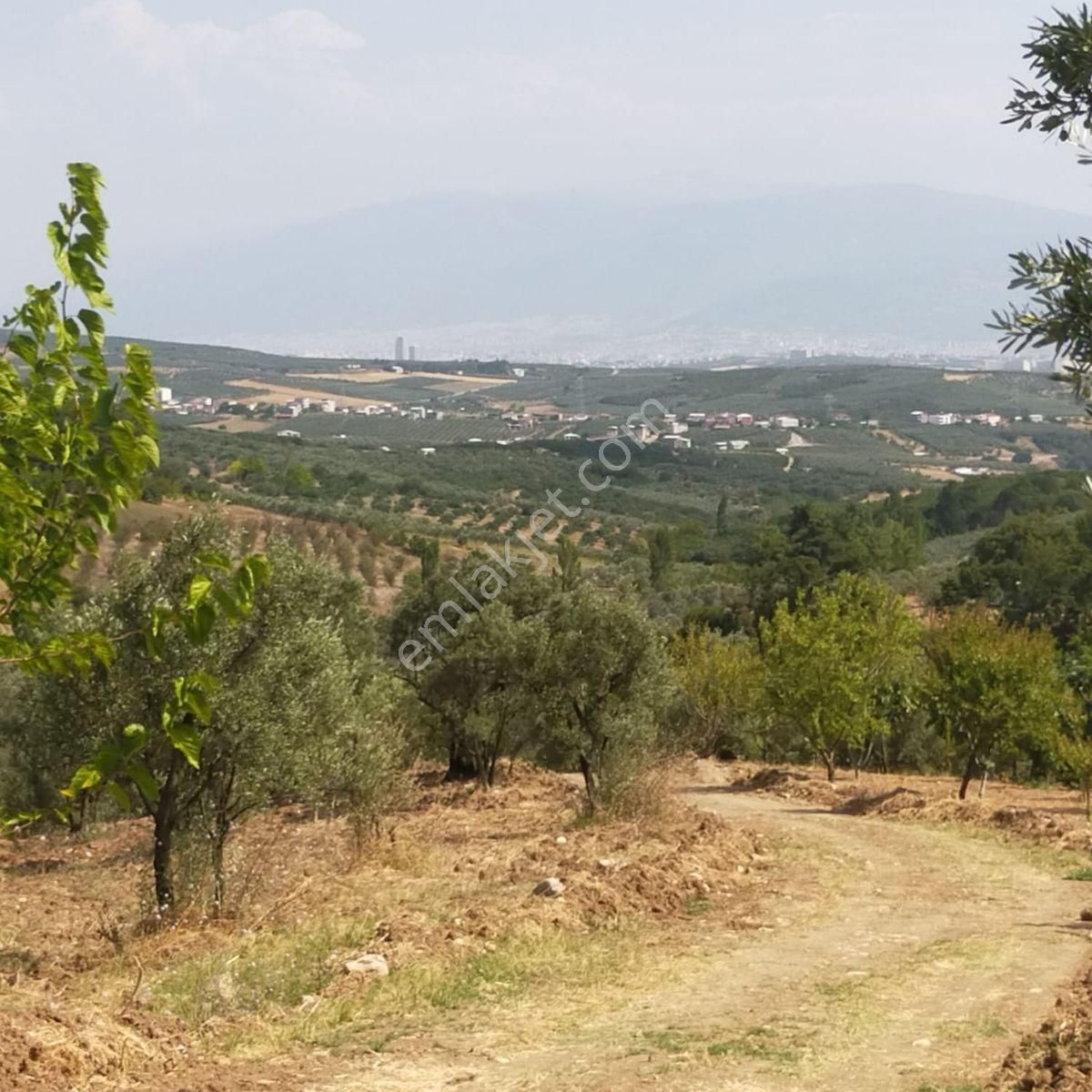 Bursa Mudanya Akköy Kadastro Yolu Olan Fırsat Satılık Arazi - Görsel 3