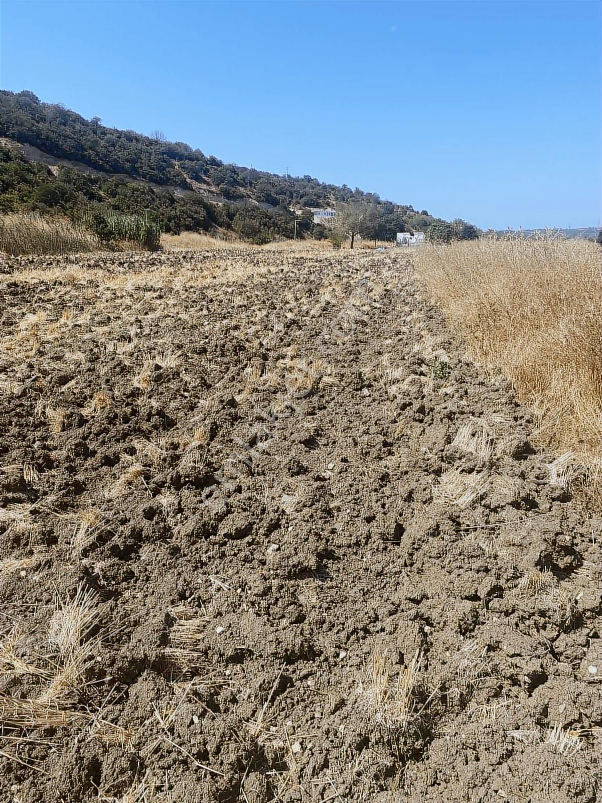 Bursa Nilüfer Yolçatı 1.440m2 Tek Tapu Yatırımlık Satılık Tarla - Görsel 6